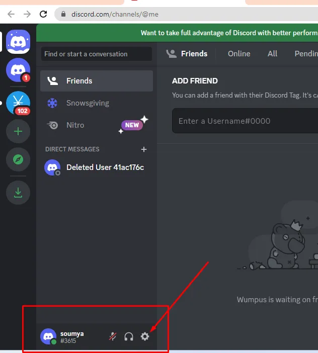 Delete Discord Account