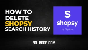 Delete Shopsy Search History