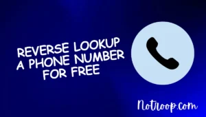 Reverse Lookup A Phone Number