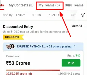 Delete Team From Dream11