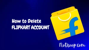 Delete Flipkart Account