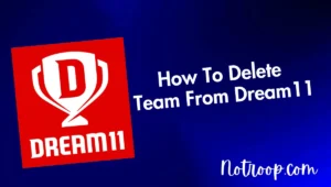 Delete Team From Dream11