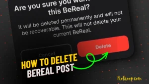 Delete BeReal Post