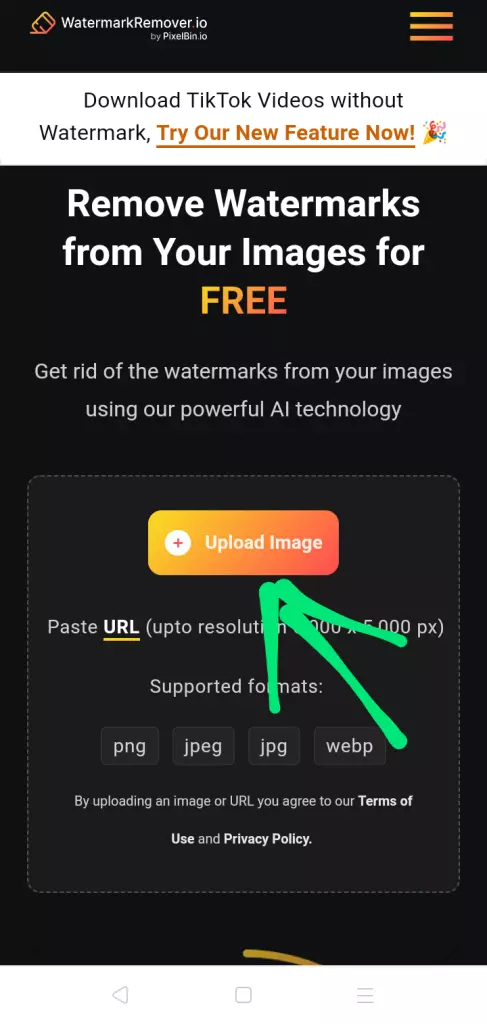 How To Remove Watermark From Photo Online