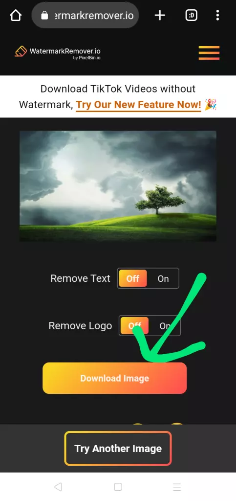 How To Remove Watermark From Photo Online